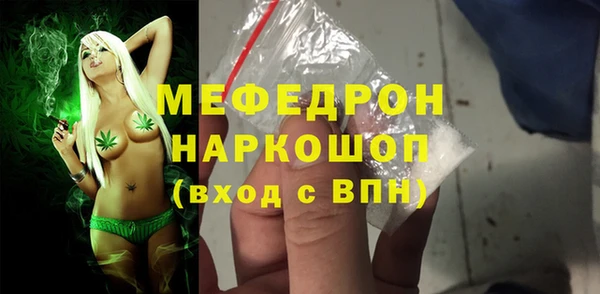 прущие грибы Новозыбков