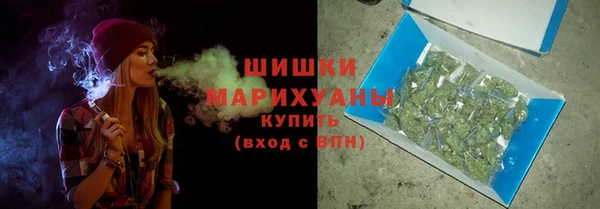 прущие грибы Новозыбков