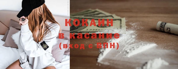 прущие грибы Новокубанск