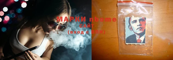прущие грибы Новокубанск