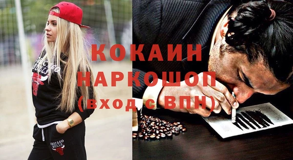 прущие грибы Новозыбков