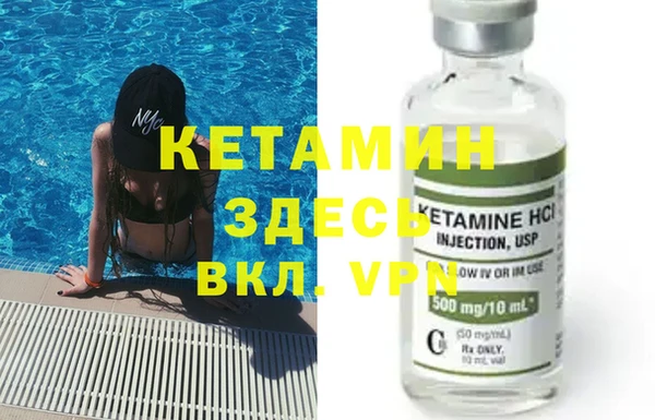 прущие грибы Новозыбков