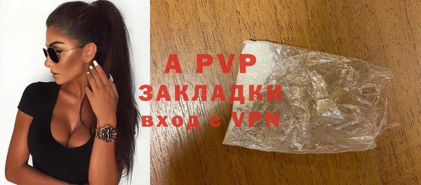 прущие грибы Новозыбков