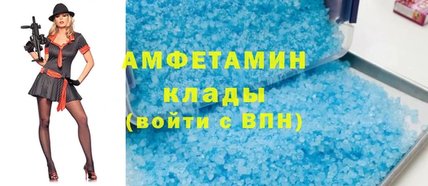 прущие грибы Новозыбков