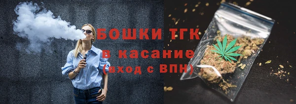 прущие грибы Новокубанск