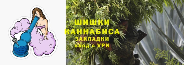 прущие грибы Новокубанск