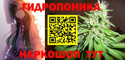 сатива Гусев